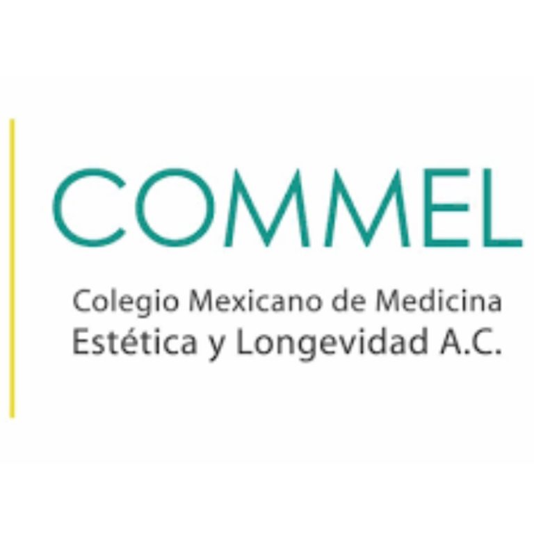Certificado 6